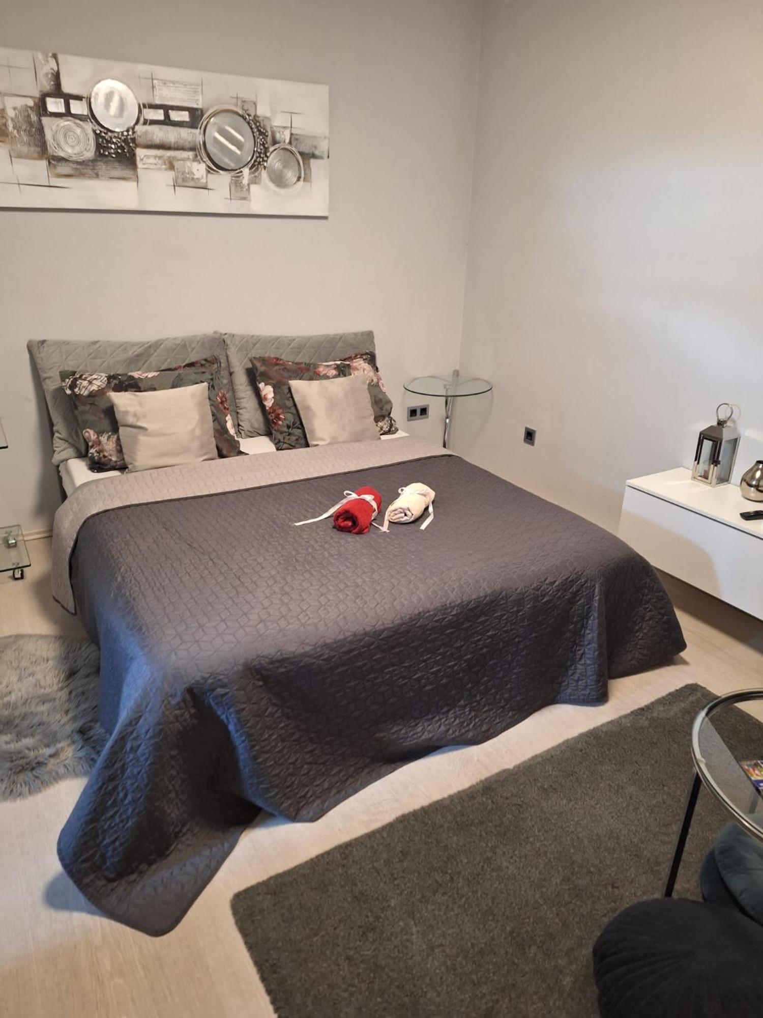 Apartment Apex Penthouse Self Check-In Karlovac Luaran gambar